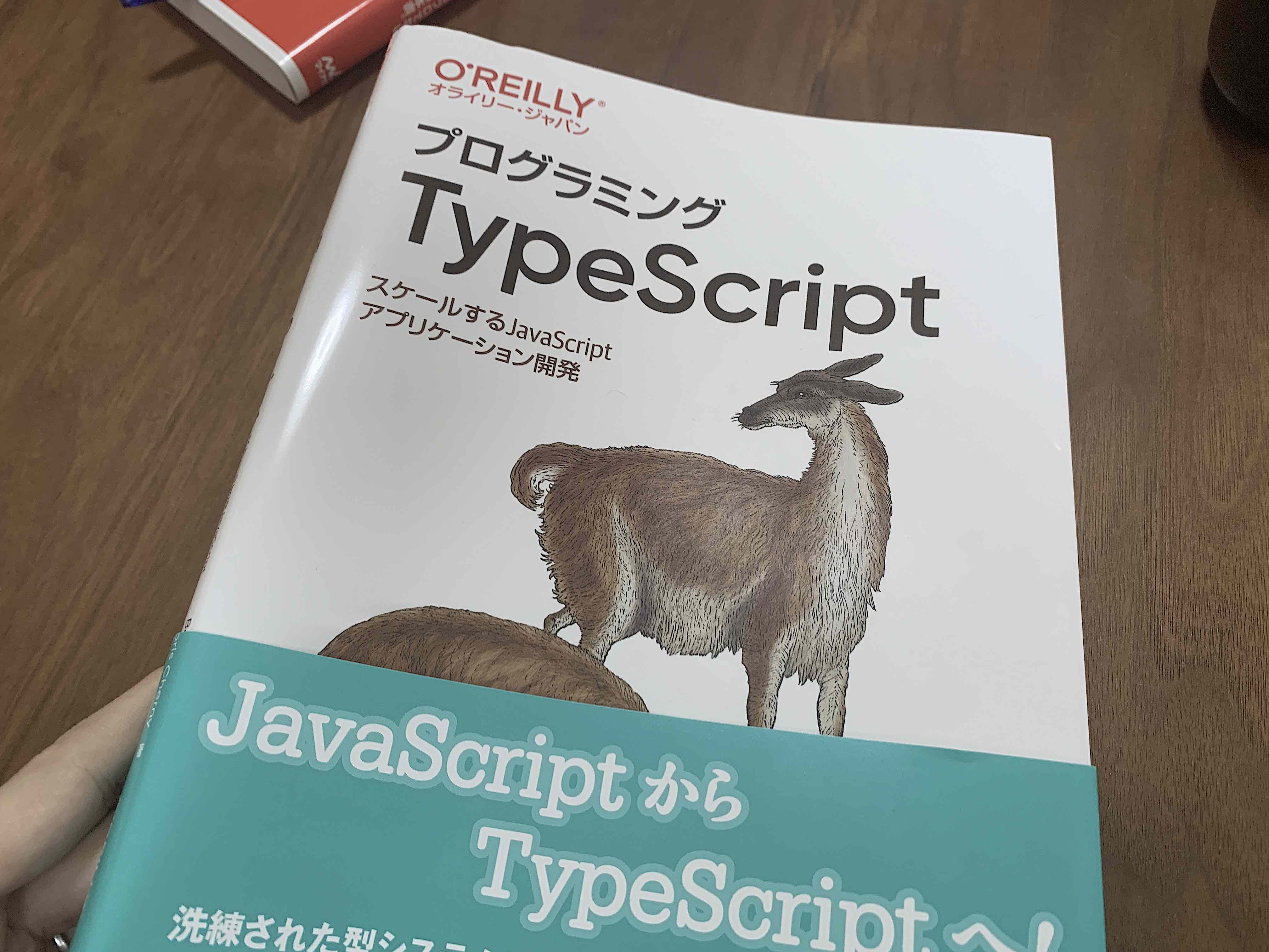 TypeScript の勉強のために『プログラミング TypeScript』を読んでいる